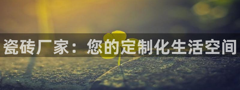 必一体育是哪里的台子