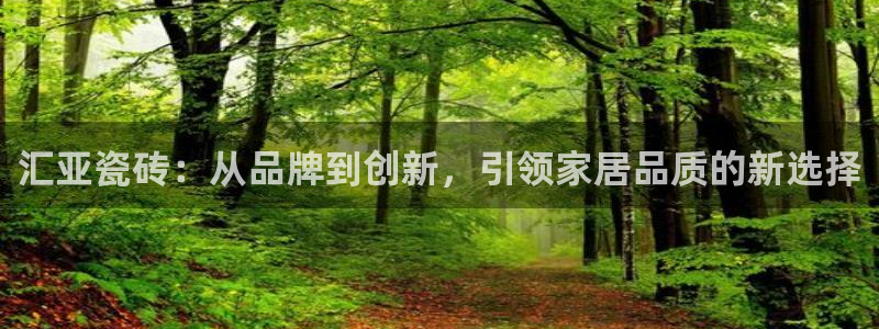 必一运动体