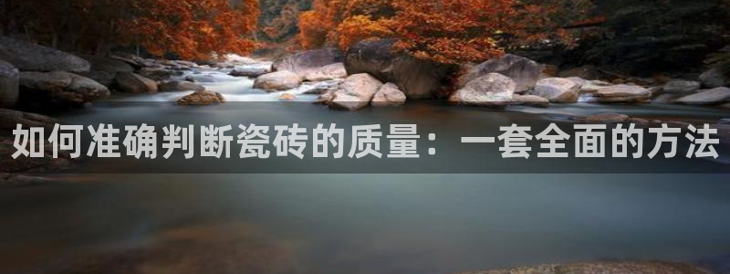 必一体育手机下载
