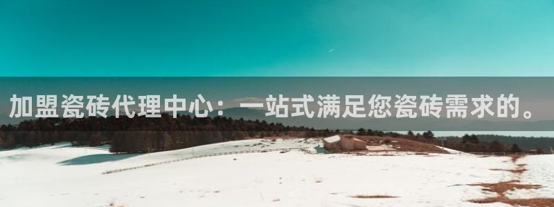 必一体育在哪下
