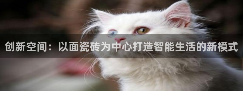 必一体育没了