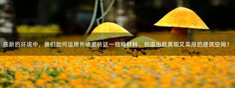必一体育app官方下载入口