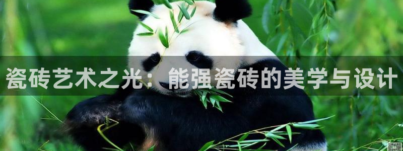 必一体育官网网站