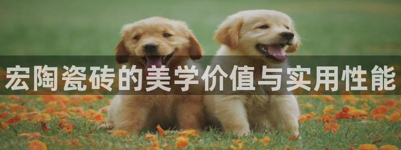 必一运动aop