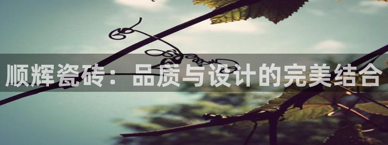 必一体育下载