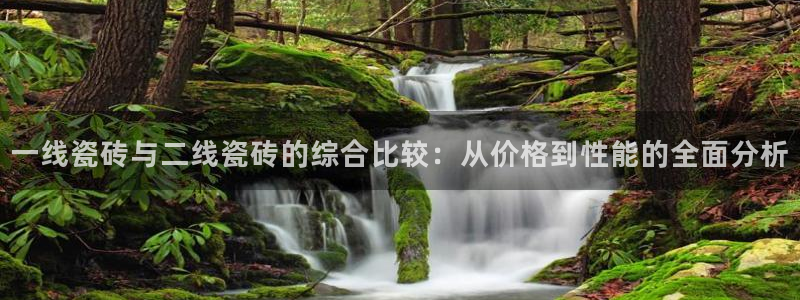 必一体育bsport下载