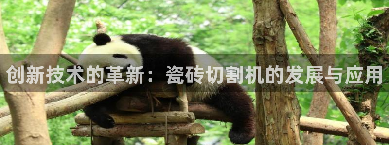 必一体育官网ios下载