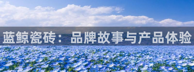 必一体育最新官网入口首页