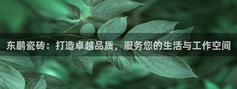必一体育下载app下载