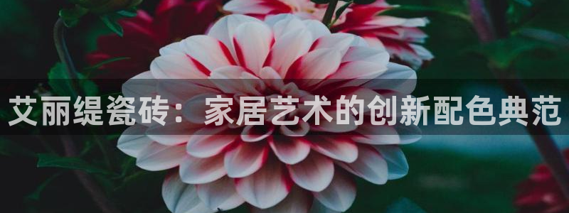 必一体育网页登陆