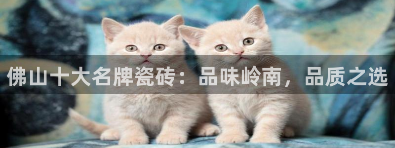 必一体育下载登入