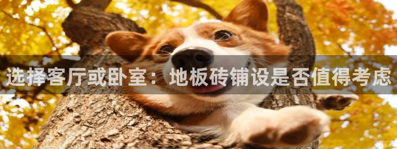 必一体育app平台下载
