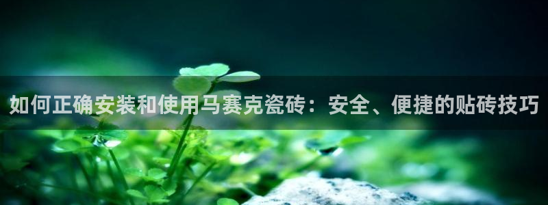 b体育官网下载入口app必一