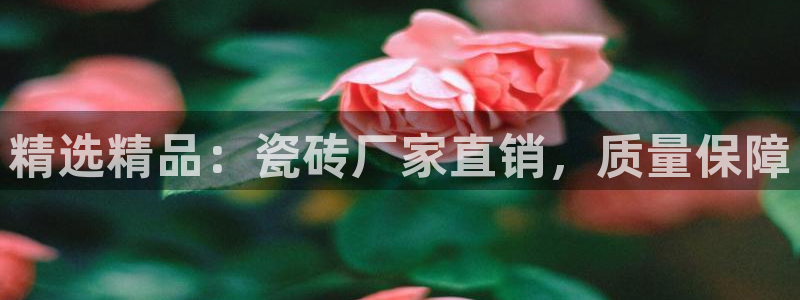 必一体育网址