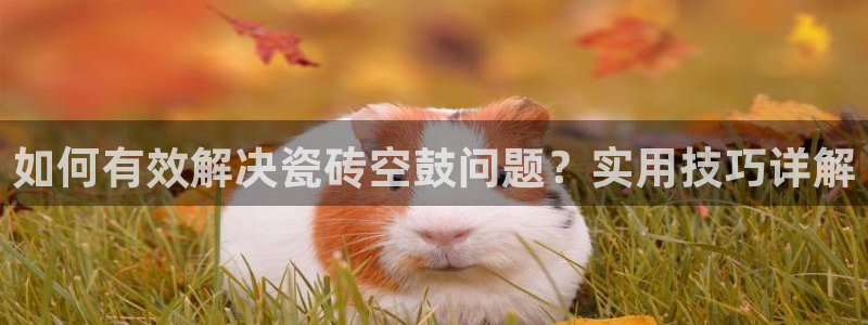 必一体育官网网站