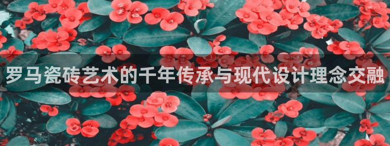必一体育登陆