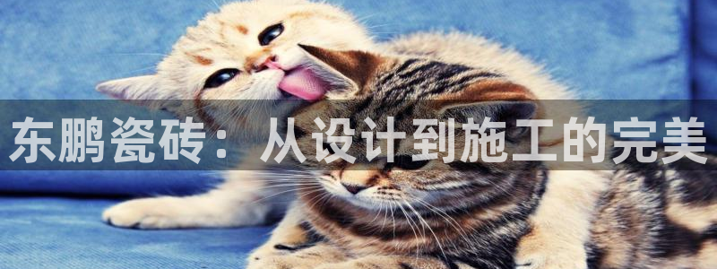 b体育必一下载