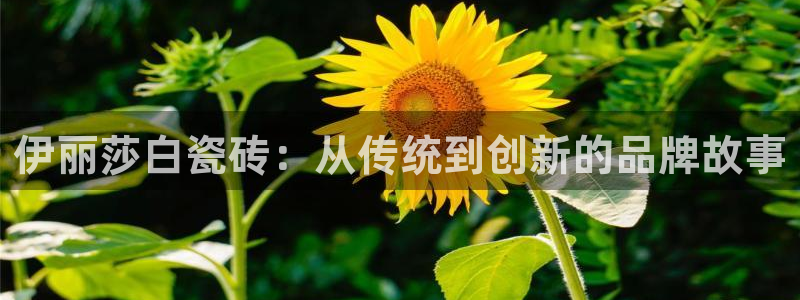 必一运动官网入口