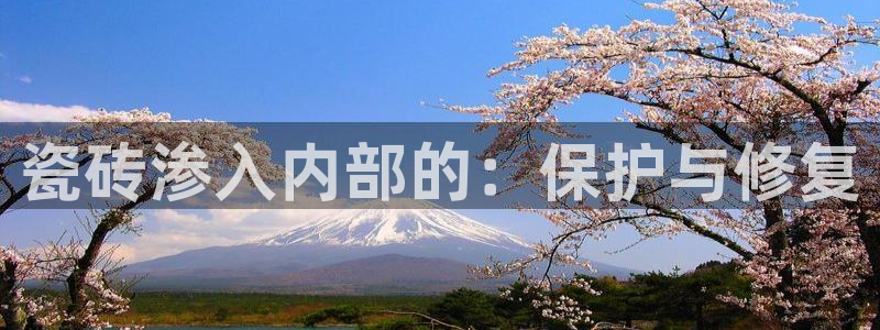 必一体育app官方网站
