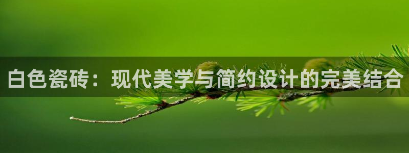 必一体育下载意思