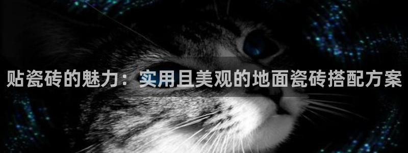 必一运动sport网页版