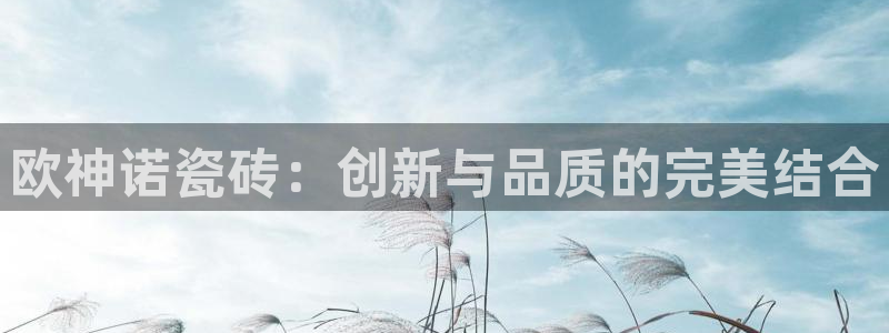 必一体育秀给网