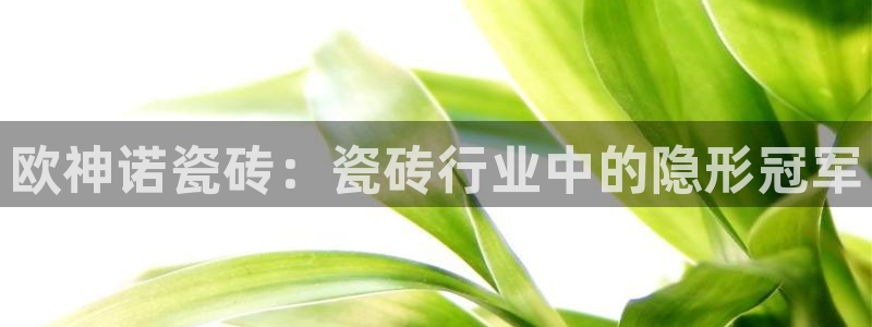 必一体育官方网站入口