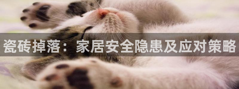 必一体育APP下载安装